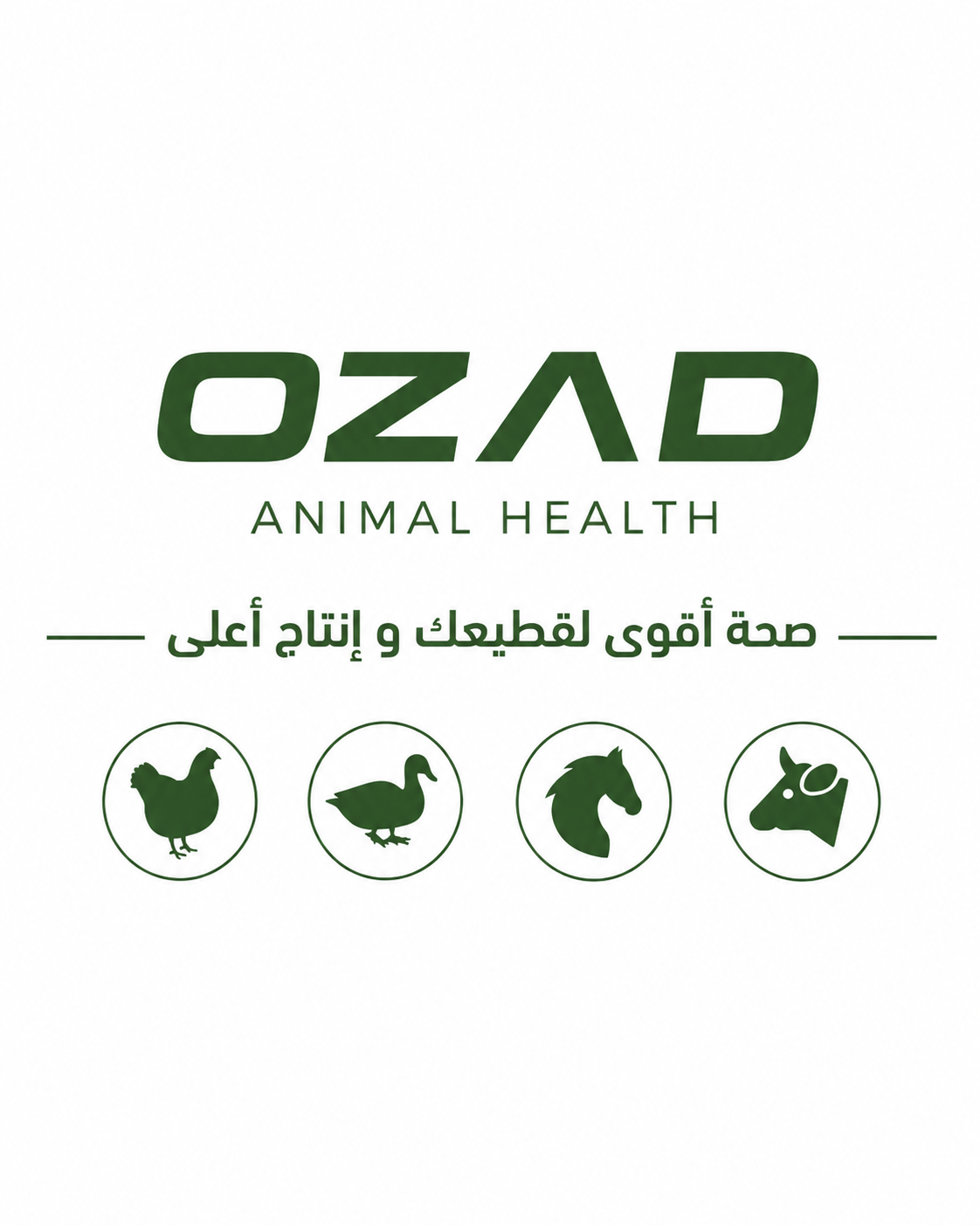 برق — تجريبي